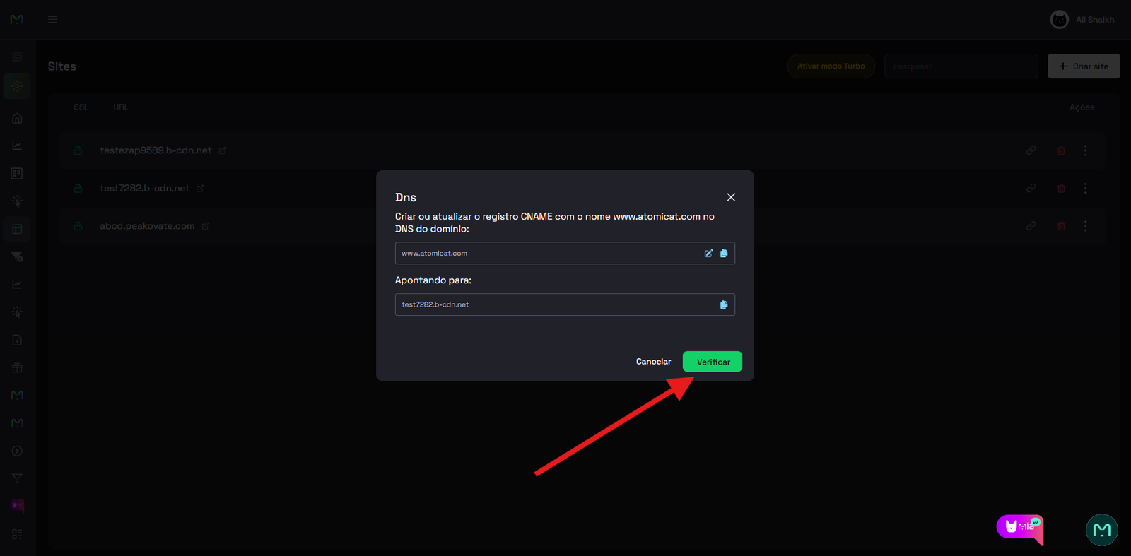 Successful domain verification in Atomicat