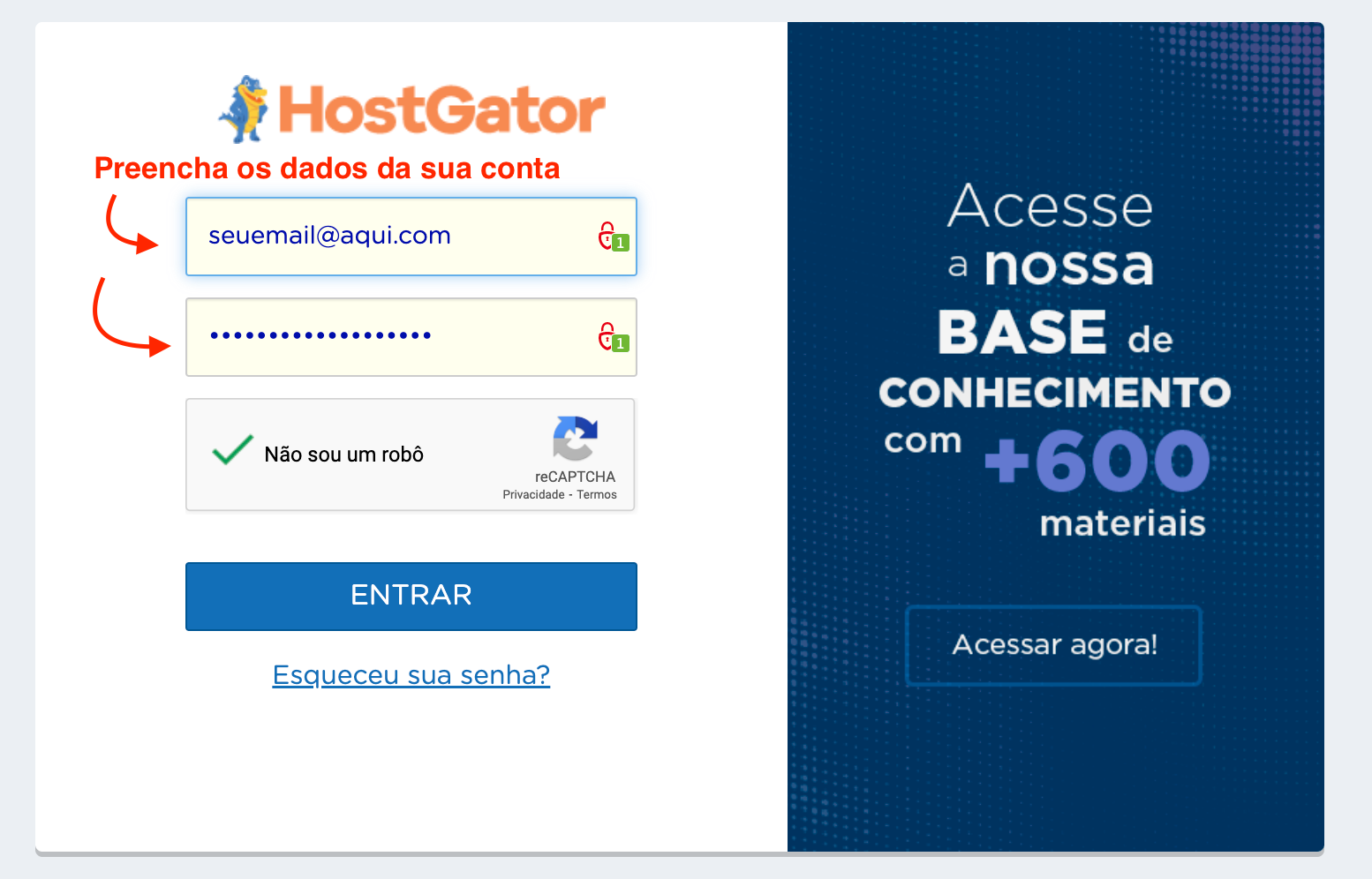 Open the HostGator Client Area