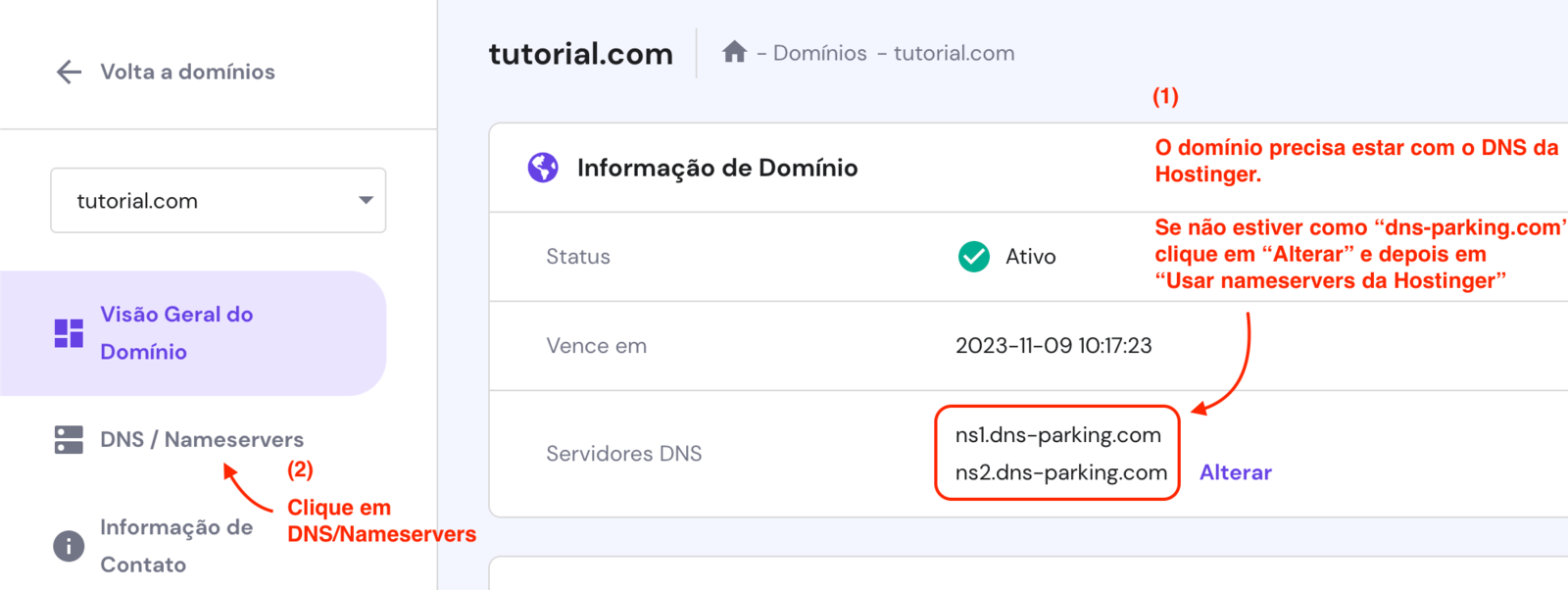 Confirm Hostinger nameservers for the domain