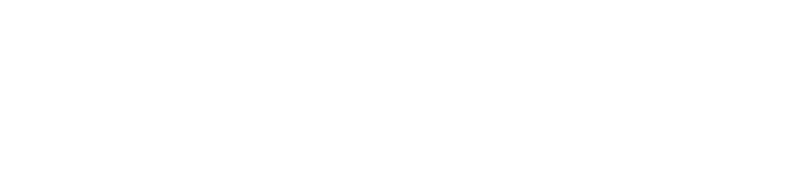Retailer