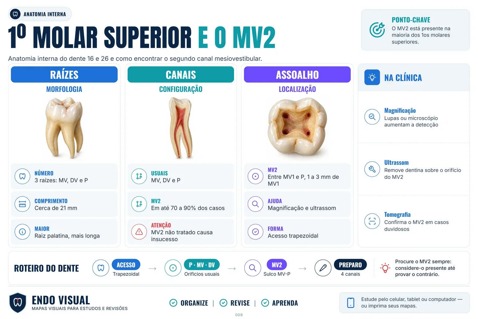 Amostra do Material Endo Visual 1