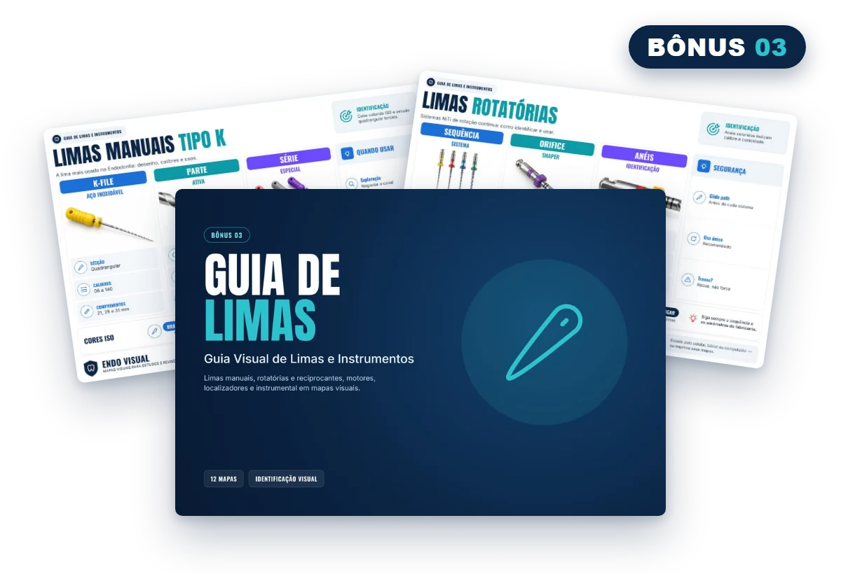 Mockup do bônus Guia Visual de Limas e Instrumentos