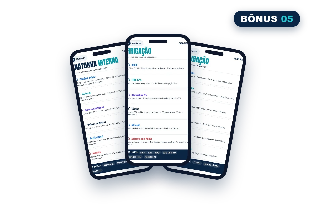 Mockup do bônus Kit de Revisão para Celular