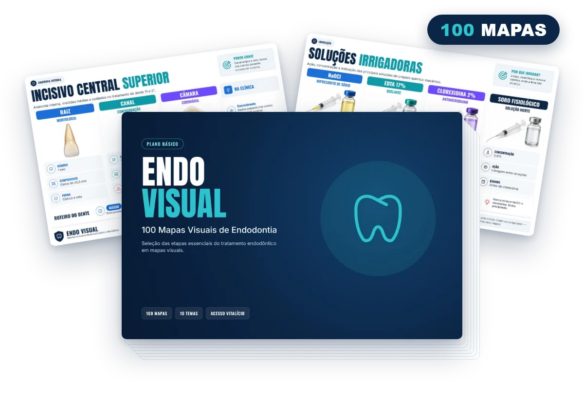 Mockup do Plano Básico com 100 mapas visuais