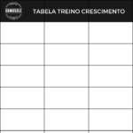 Planilha de treino exclusiva