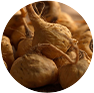 Maca