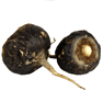Maca