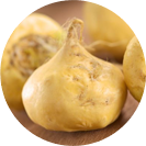 Maca peruana