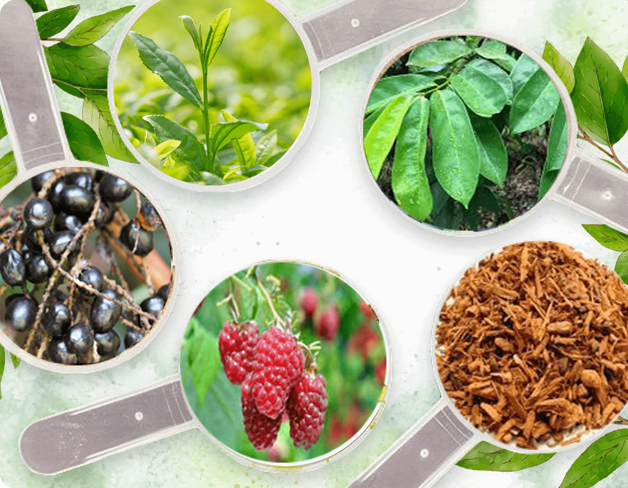 Prosta Peak Full Ingredients Banner