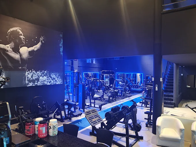 Evolution Studio 3