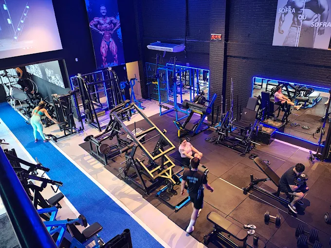 Evolution Studio 2