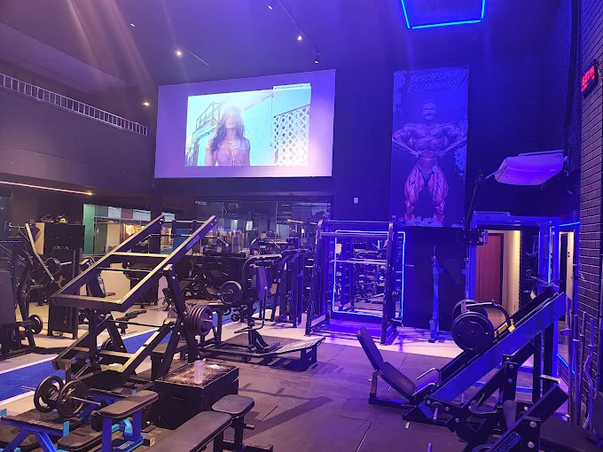 Evolution Studio 1