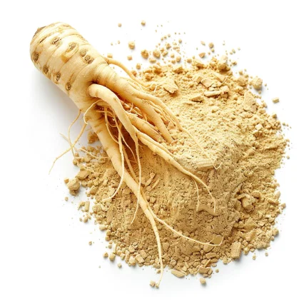 Panax Ginseng Extract - Neuromind Pro