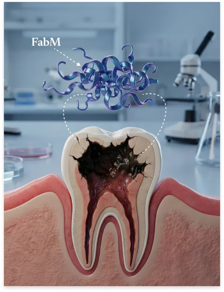 FabM acid-lock enzyme illustration showing how it protects harmful oral bacteria