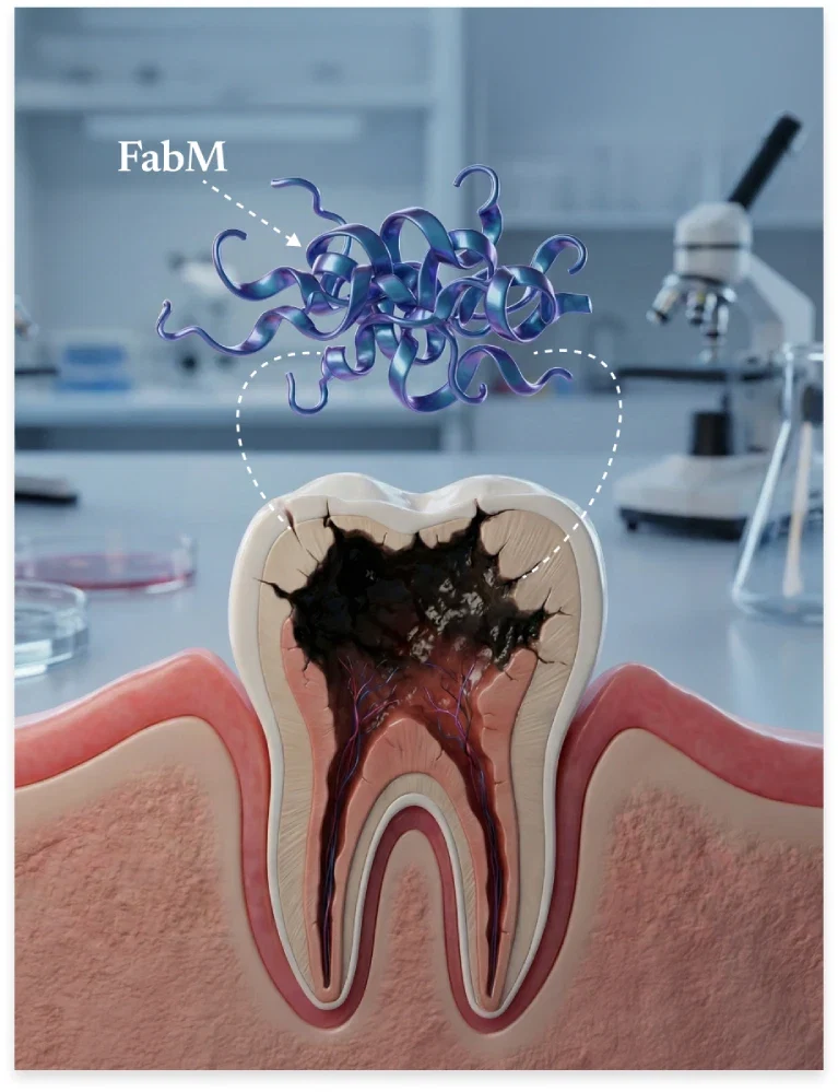 FabM acid-lock enzyme illustration showing how it protects harmful oral bacteria