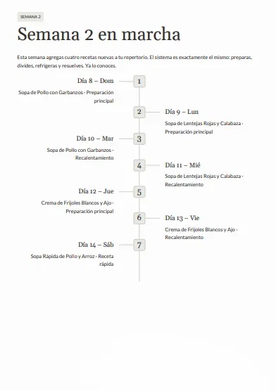 Plan semanal día por día