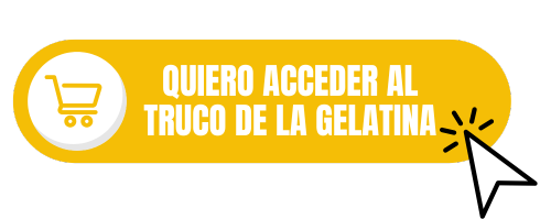 begin_checkout