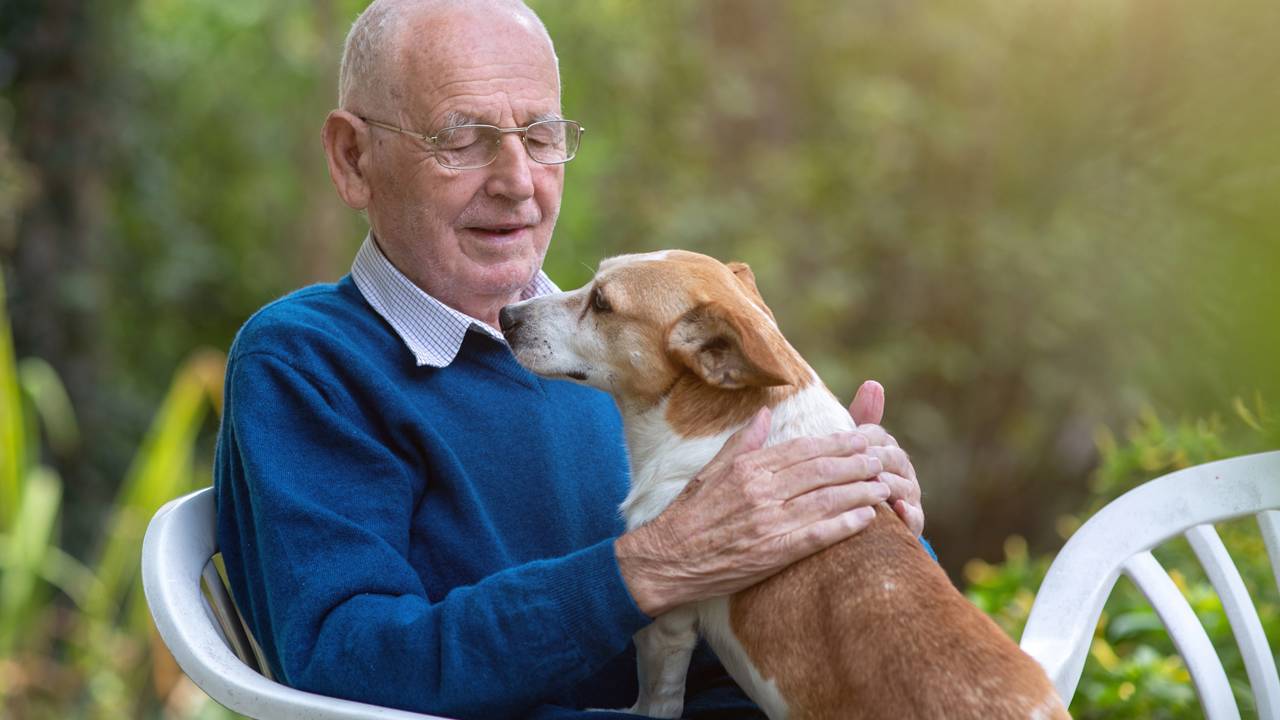 Robert, dog owner