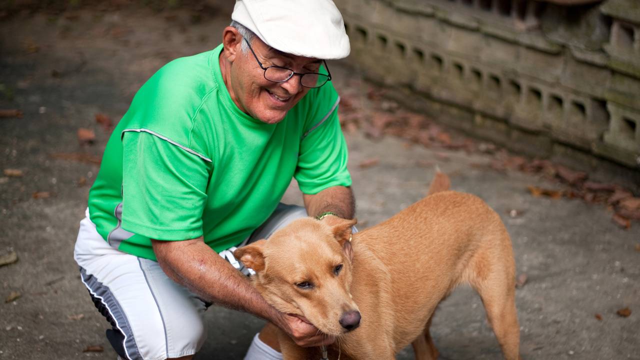 George, dog owner