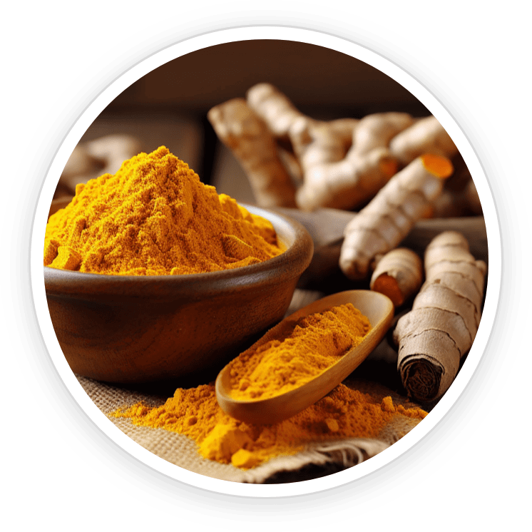 Nano-Curcumin - NanoDefense Pro ingredient