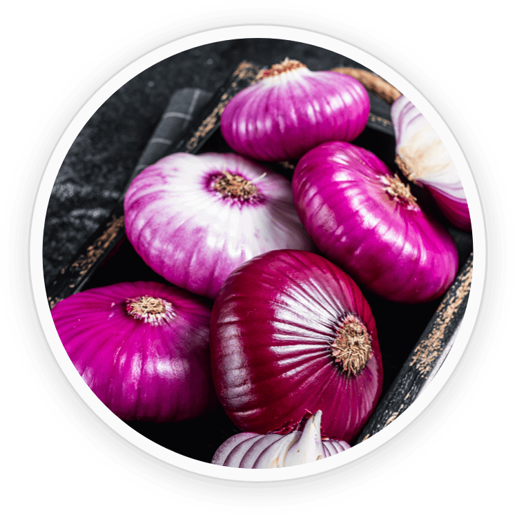 Nano-Quercetin - NanoDefense Pro ingredient