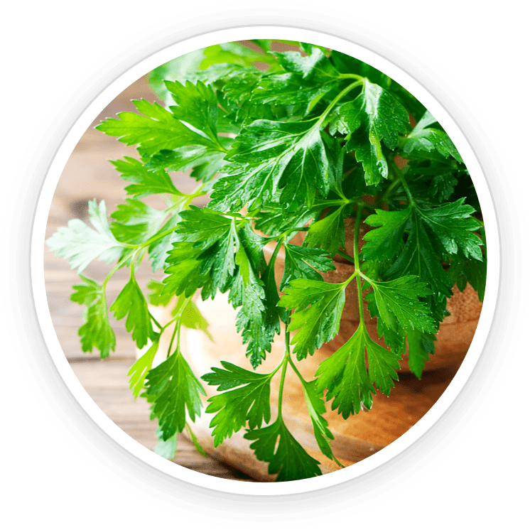 Luteolin - NanoDefense Pro ingredient