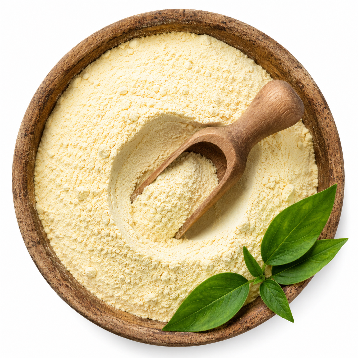 Coenzyme Q10