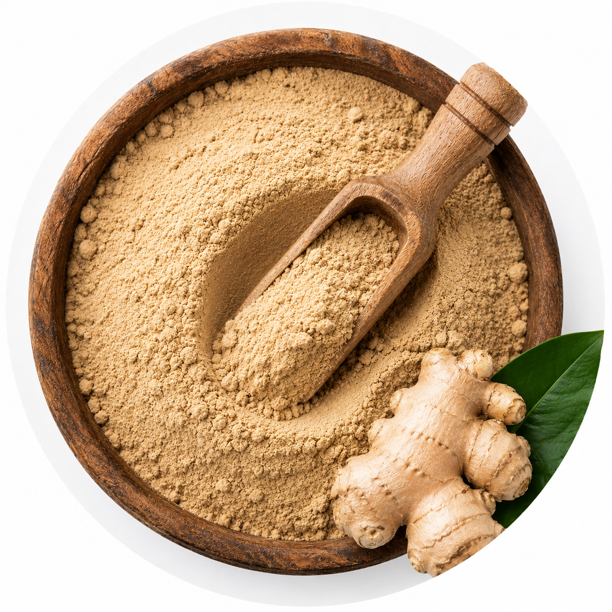 Rhizome Extract