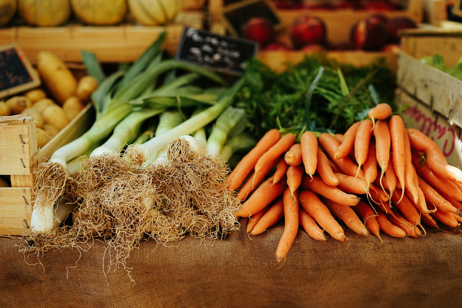 Healthy natural ingredients and wellness lifestyle