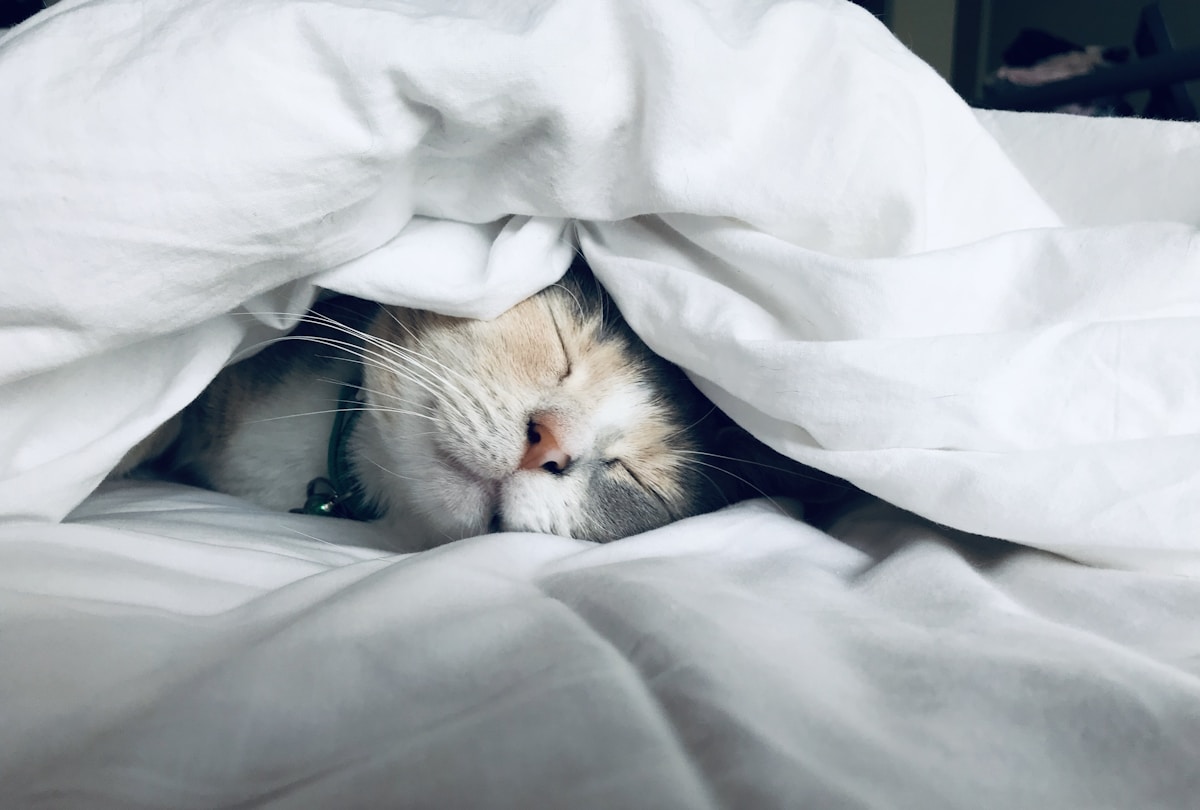 Relaxing sleep preparation routine with calming audio