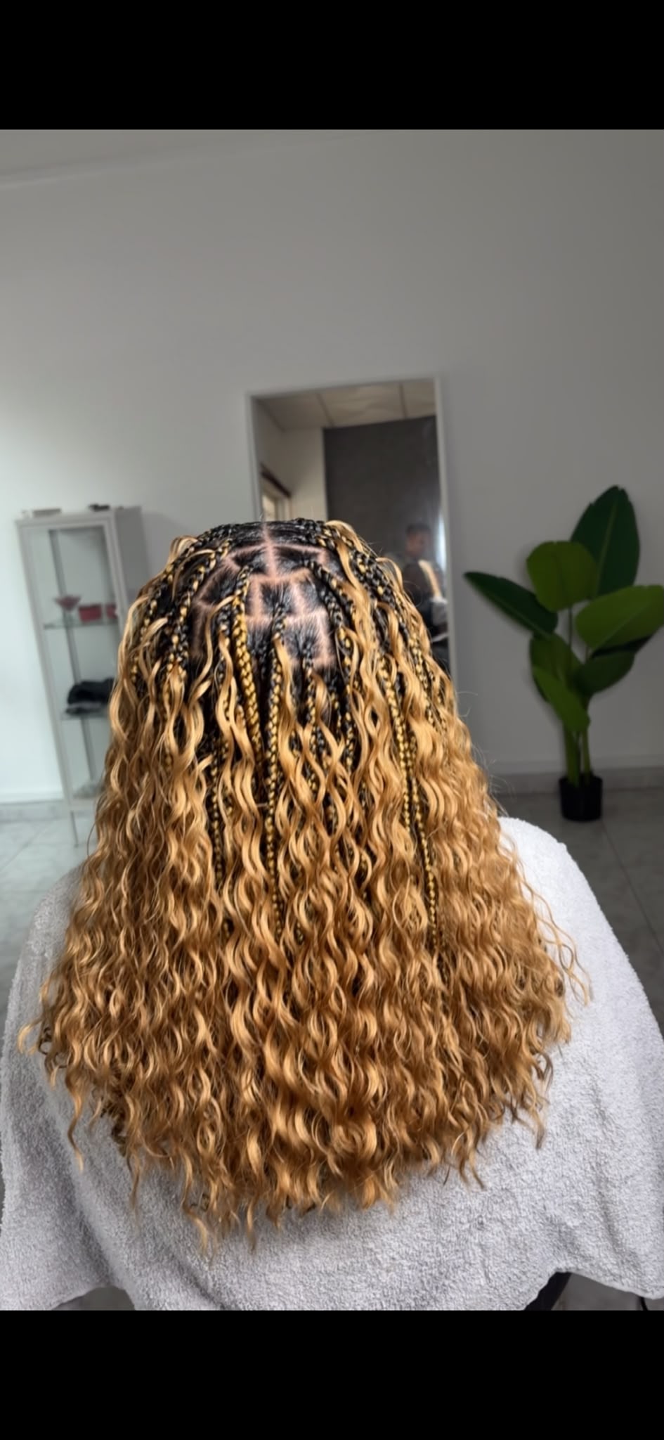 Boho Braids