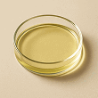 Undecylenic Acid