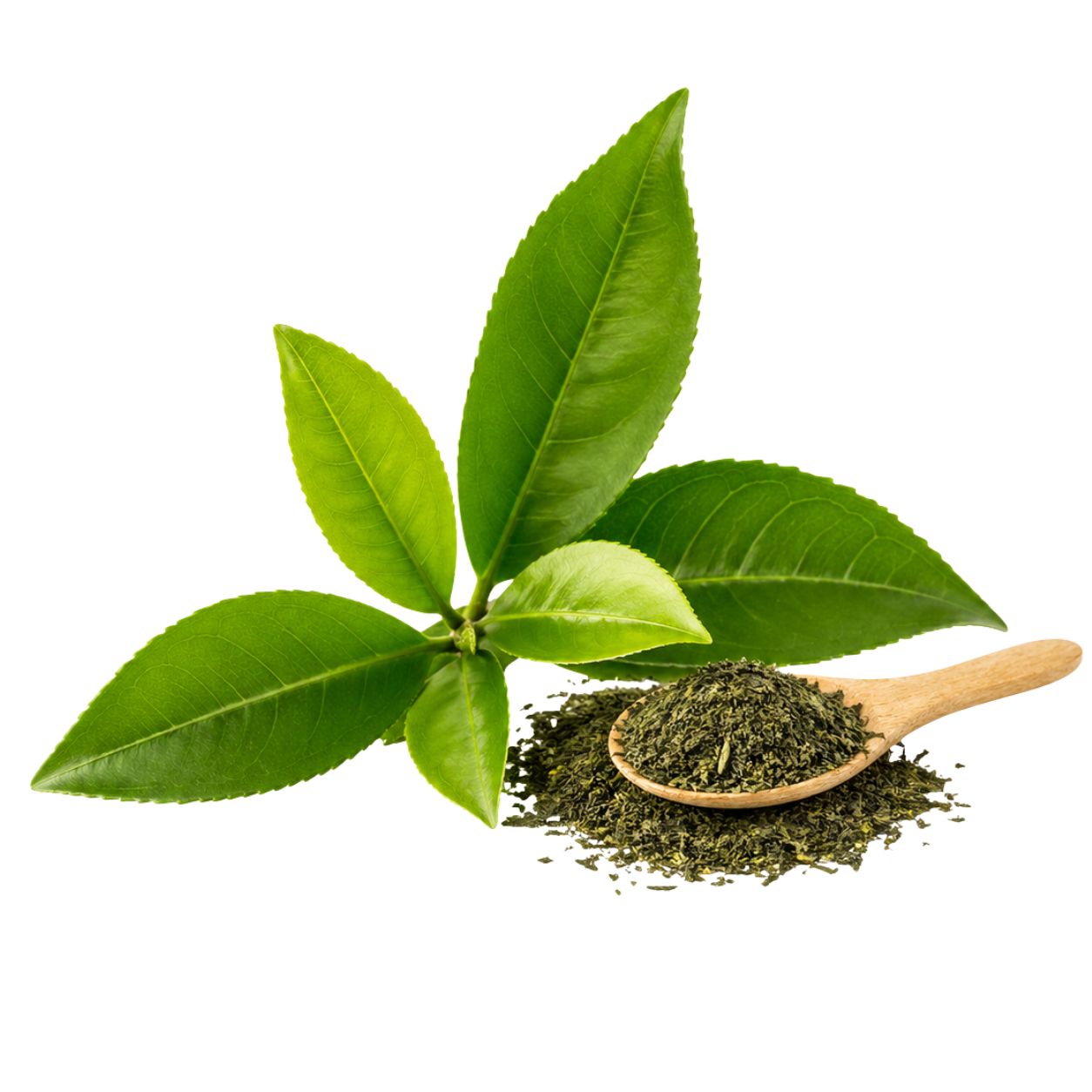 Chá Verde