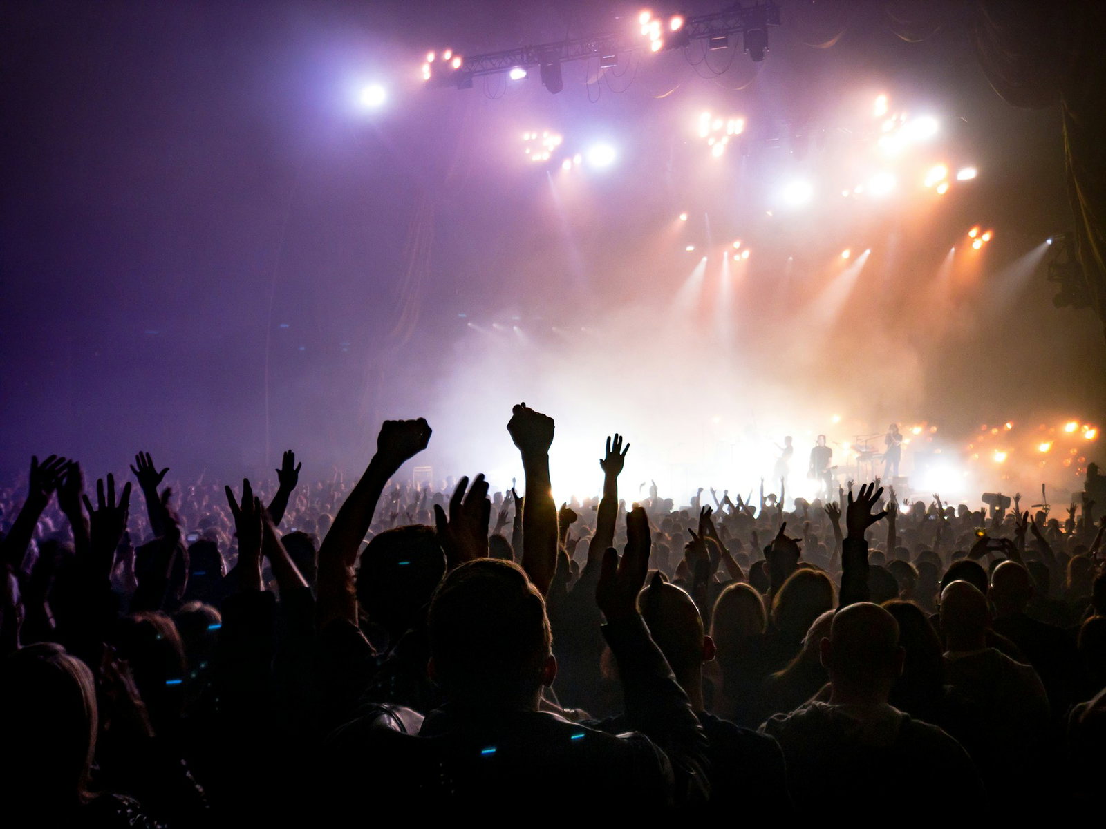 Concert crowd facing a lit stage