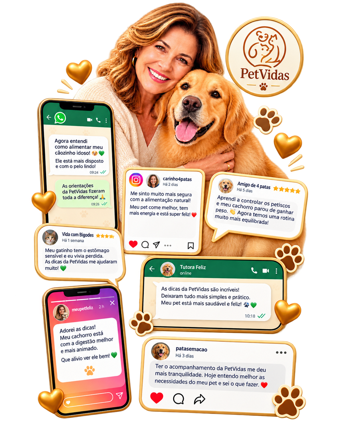 Tutora PetVidas com seu cão e elementos visuais de mensagens e avaliações