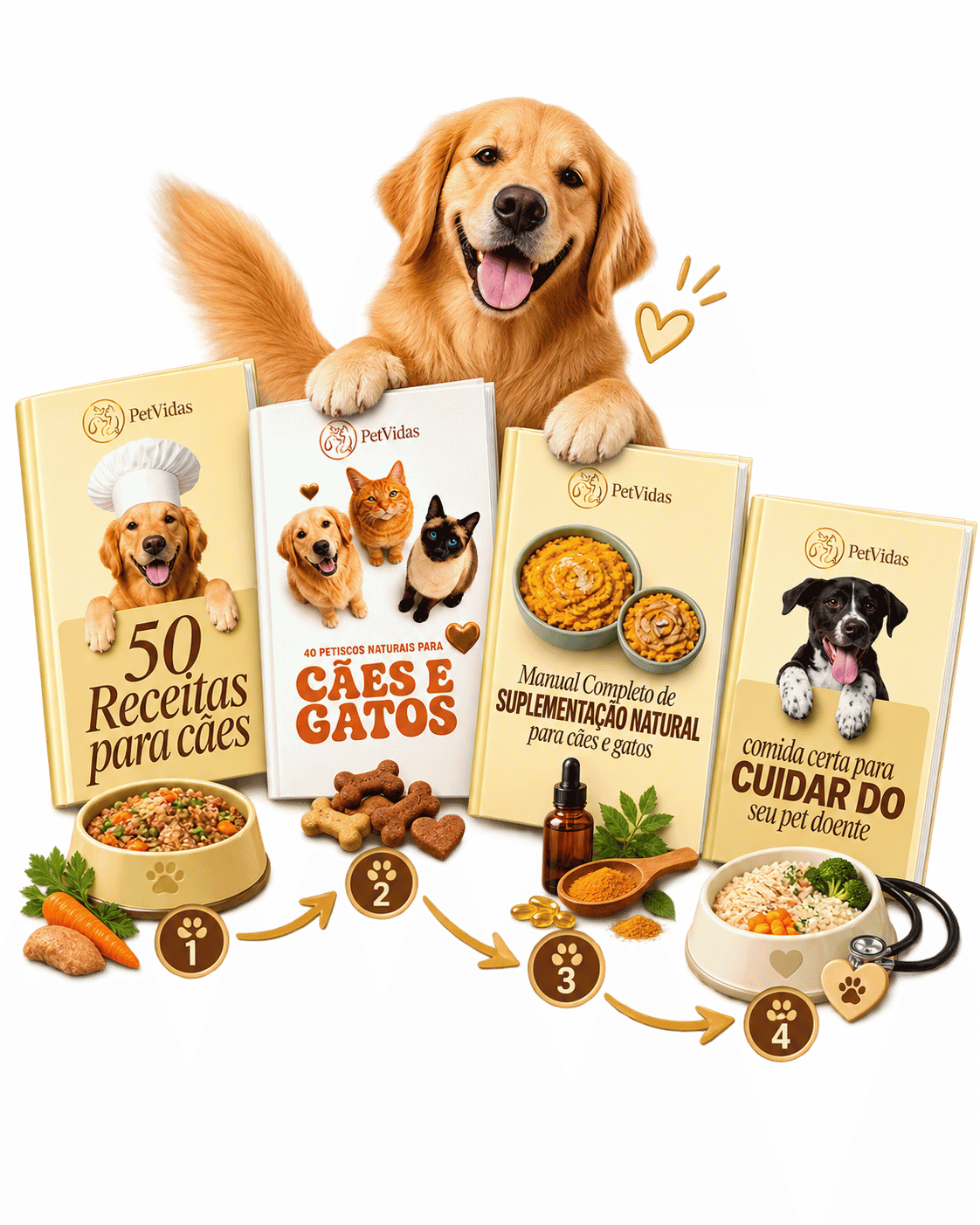 Quatro materiais PetVidas formando um sistema de consulta para diferentes momentos da alimentação do cão