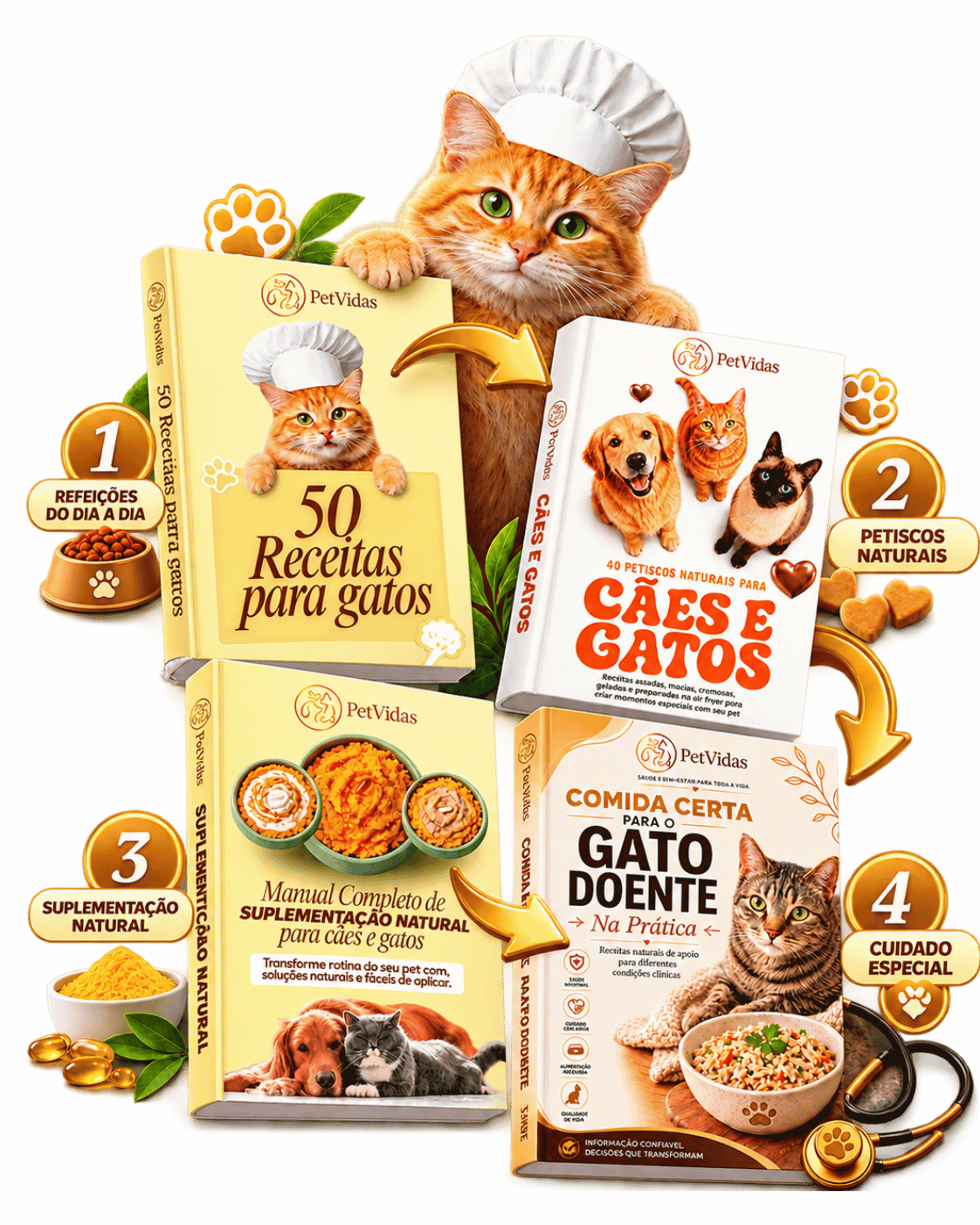 Oferta do Combo Completo PetVidas para Gatos